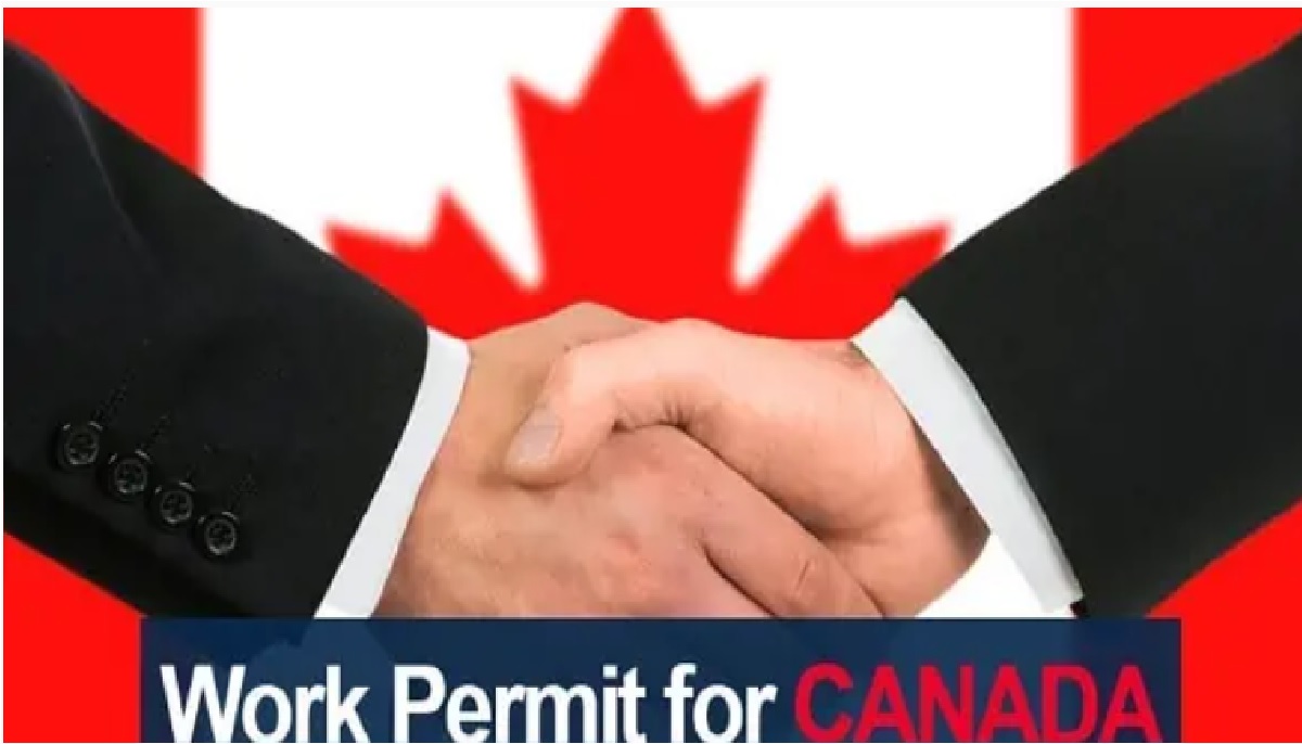 Work permit for canada